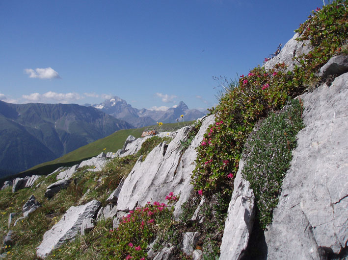 25-besuch roman alp06 026