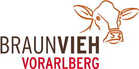 Logo_BV_Vlbg_4c02