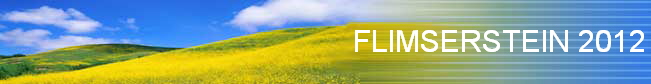 FLIMSERSTEIN 2012