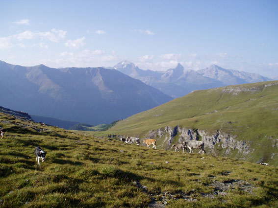 blick z htte v wasserstelle