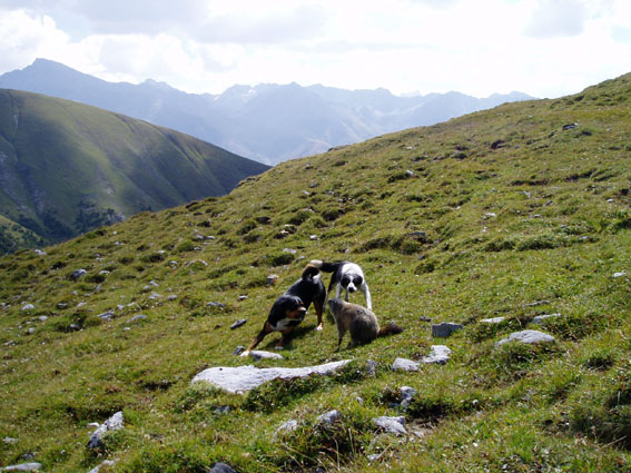 gina-xenia m murmele