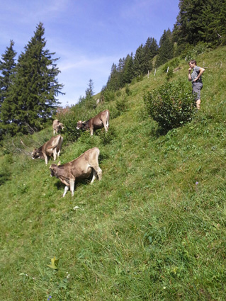 hpjuli2015 schrecken