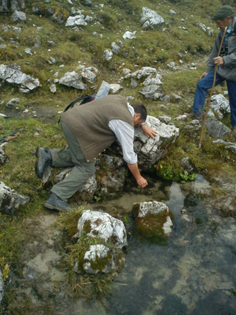 hpseppl_hochalpsee1_kl