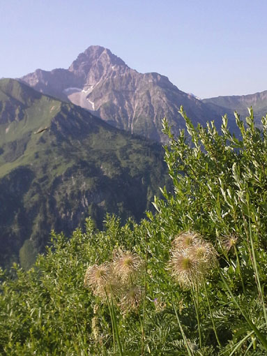 hpwidderst_wildemaendle20150711