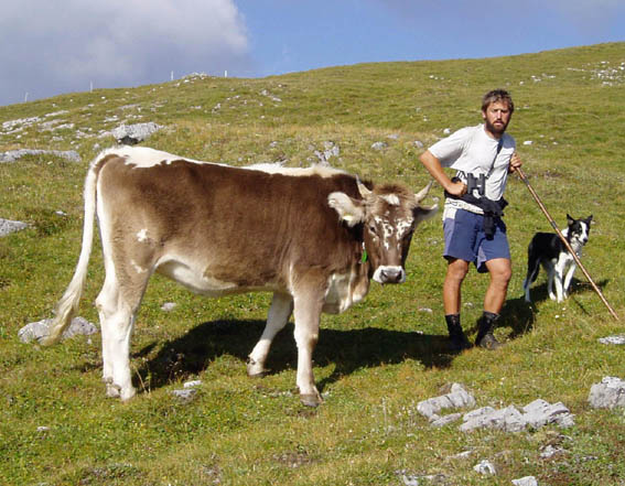 roman-rind-senia Kopie