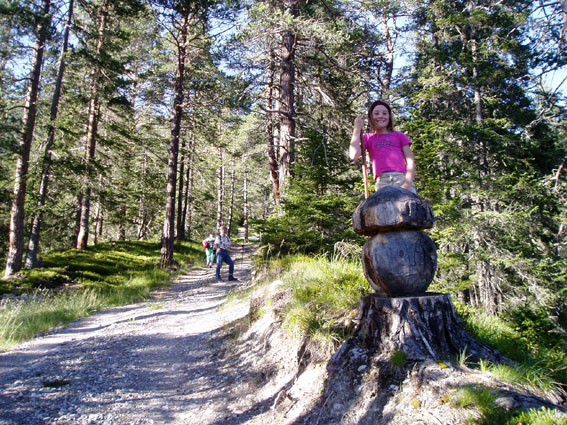 roman auf weg zur alp
