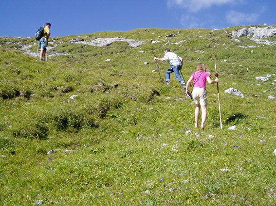 romana barfuss norbert